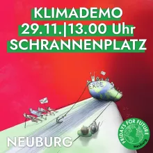 29.11.19 Klimademo Neuburg